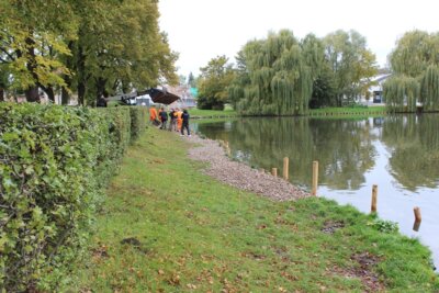 Foto des Albums: Angler unterstützen Rohnestadt bei der Ufersanierung am Neuvorwerksteich in Allstedt