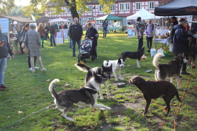 Foto des Albums: Tourismustag auf dem Amtshof (25.10.2023)