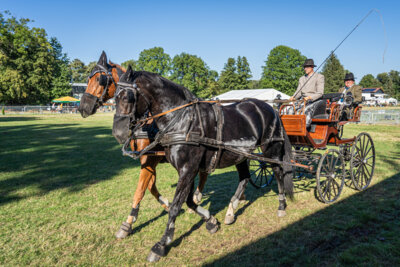 Foto des Albums: 1. Kleine Reinstedter Landpartie (16. 09. 2023)