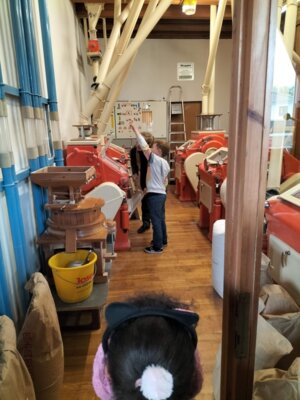 Foto des Albums: Besuch in der Getreidemühle
