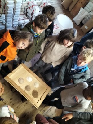 Foto des Albums: Besuch in der Getreidemühle
