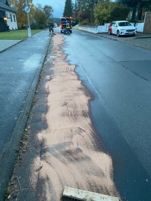 Foto des Albums: THL 1 - Straße reinigen, Ölspur
