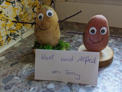 Foto des Albums: Kartoffelprojekt Klasse 3a