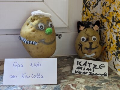Foto des Albums: Kartoffelprojekt Klasse 3a