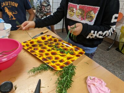 Foto des Albums: Kartoffelprojekt Klasse 3a