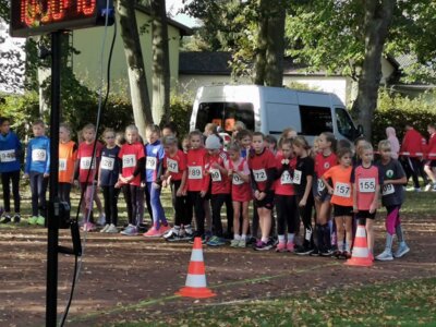 Foto des Albums: LM Cross Henningsdorf 14.10.2023