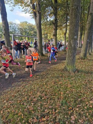 Foto des Albums: LM Cross Henningsdorf 14.10.2023
