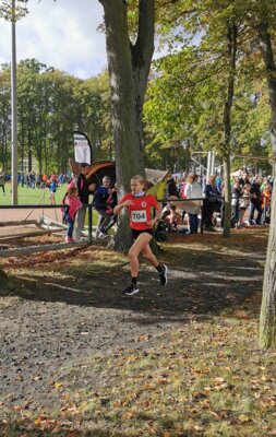 Foto des Albums: LM Cross Henningsdorf 14.10.2023