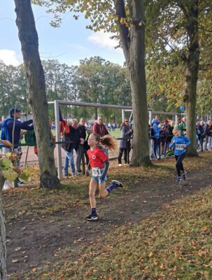 Foto des Albums: LM Cross Henningsdorf 14.10.2023