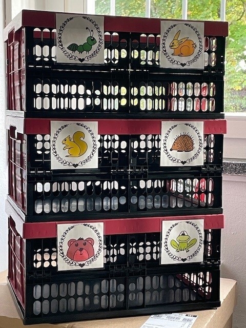 Bild der Galerie