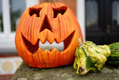 Halloween war vor zwei Tagen  (Bild vergr&ouml;&szlig;ern)
