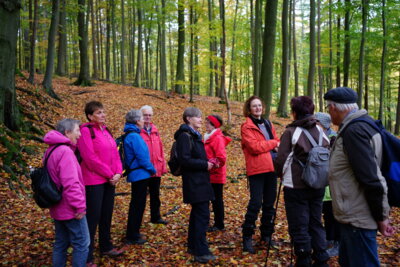 Pause am Ministerstollen  (Bild vergr&ouml;&szlig;ern)