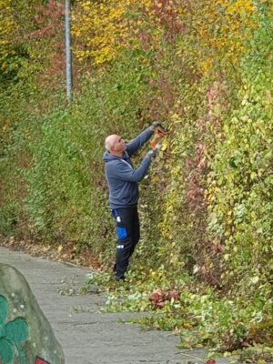 Foto des Albums: Arbeitseinsatz Pflege der Sportanlage des TSV Kirchdorf ... (04. 11. 2023)