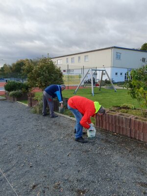 Foto des Albums: Arbeitseinsatz Pflege der Sportanlage des TSV Kirchdorf ... (04. 11. 2023)