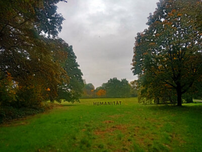 Stille  (Bild vergr&ouml;&szlig;ern)
