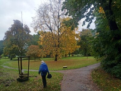Bunt sind schon die W&auml;lder....  (Bild vergr&ouml;&szlig;ern)