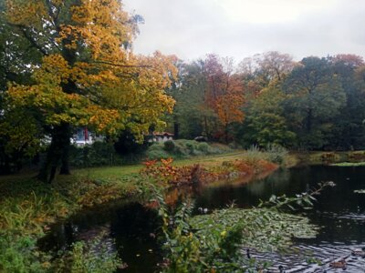 Teich mit Blumeninsel  (Bild vergr&ouml;&szlig;ern)