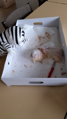 Foto des Albums: Sankt Martin