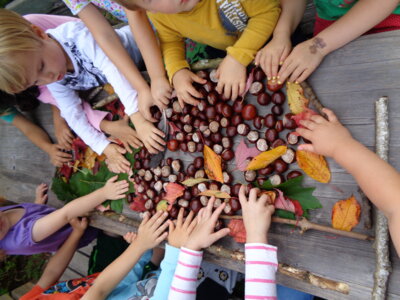 Foto des Albums: Kinderhaus