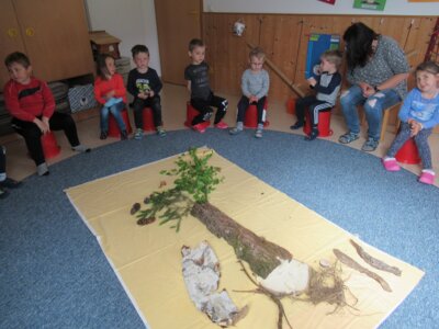 Foto des Albums: Kinderhaus