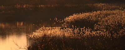 Foto des Albums: Allgemeine Fotos