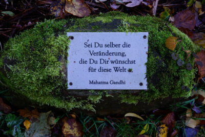 Auch wahr  (Bild vergr&ouml;&szlig;ern)