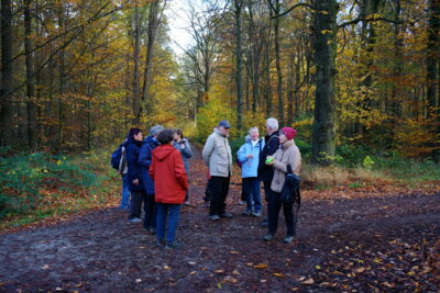 Pause und  (Bild vergr&ouml;&szlig;ern)