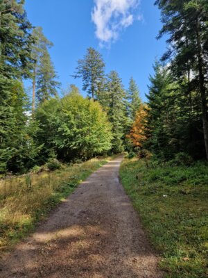Foto des Albums: AuerhuhnSJ2324