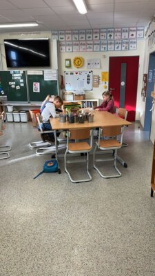 Foto des Albums: Erntedankfest Projekttag Apfel