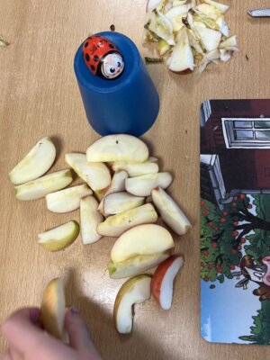 Foto des Albums: Erntedankfest Projekttag Apfel