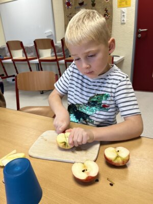 Foto des Albums: Erntedankfest Projekttag Apfel