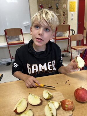 Foto des Albums: Erntedankfest Projekttag Apfel