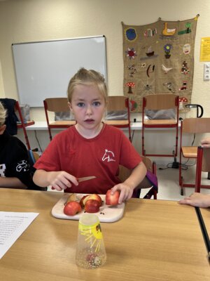 Foto des Albums: Erntedankfest Projekttag Apfel