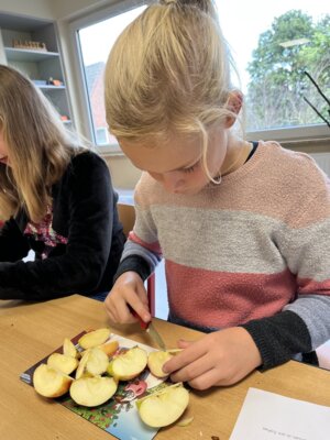 Foto des Albums: Erntedankfest Projekttag Apfel