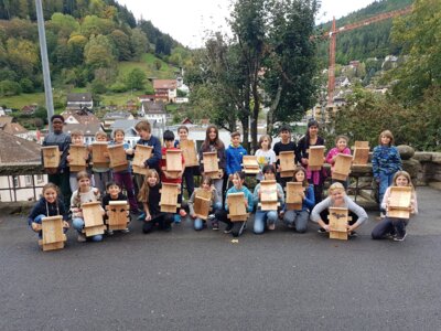 Foto des Albums: FledermausSJ2324