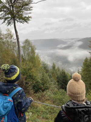 Foto des Albums: WandertagSJ2324
