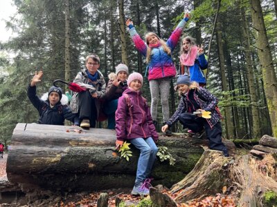 Foto des Albums: WandertagSJ2324