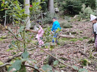 Foto des Albums: NaturparkmodulWaldSJ2324