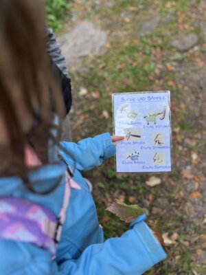 Foto des Albums: NaturparkmodulWaldSJ2324