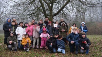Foto des Albums: Apfelprojekt