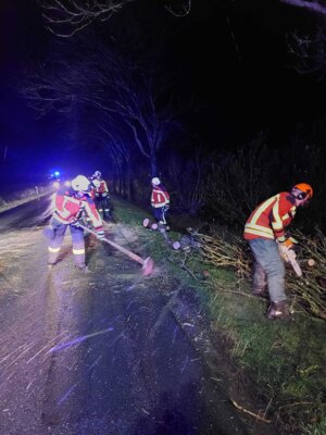 Foto des Albums: Einsatz: Baum auf Straße