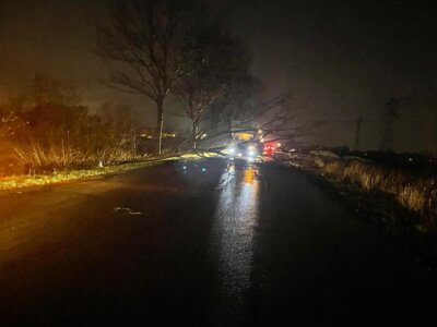 Foto des Albums: Einsatz: Baum auf Straße
