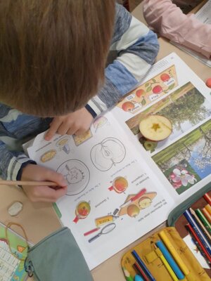 Fotoalbum Der Apfel Klasse 1b