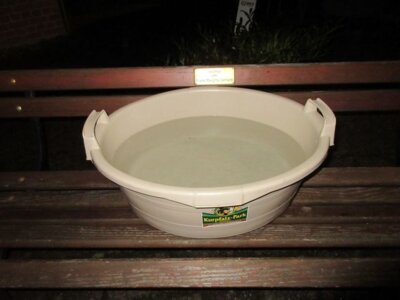 Foto des Albums: Fischzug