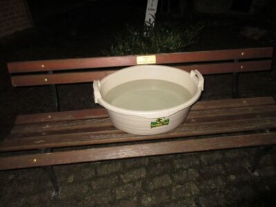 Foto des Albums: Fischzug
