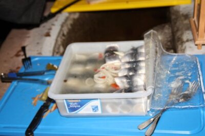 Foto des Albums: Fischzug