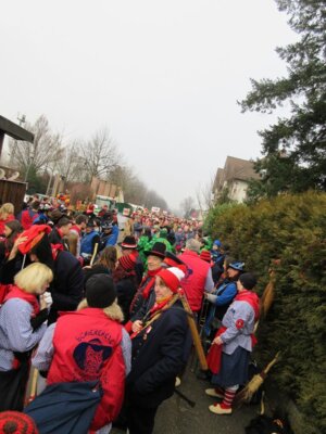 Foto des Albums: Umzug Appenweier