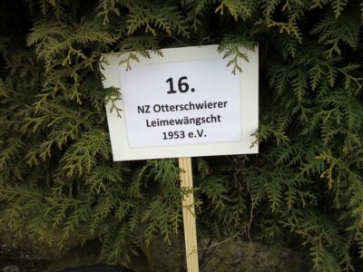 Foto des Albums: Umzug Appenweier