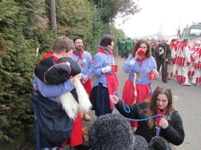 Foto des Albums: Umzug Appenweier