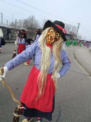 Foto des Albums: Umzug Appenweier